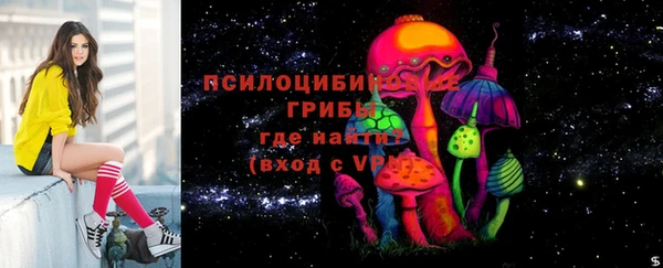 мдма Корсаков