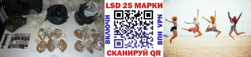 где продают наркотики  Поворино  ЛСД экстази ecstasy 